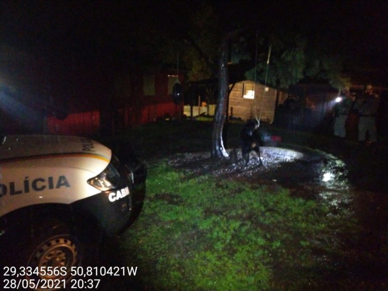 Batalhão Ambiental prende homem por maus tratos