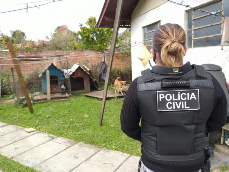 Ação de fiscalização combate maus tratos em animais