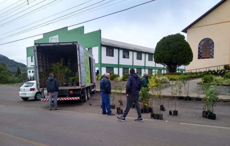 Gramado + Verde estará no Ginásio Perinão na próxima sexta-feira