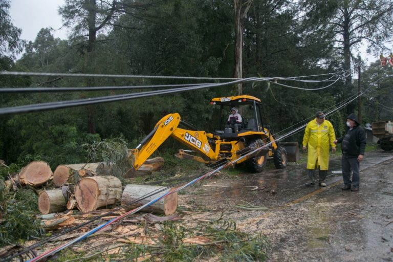 Centro e bairros Boeira e Celulose foram atingidos com quedas de árvores