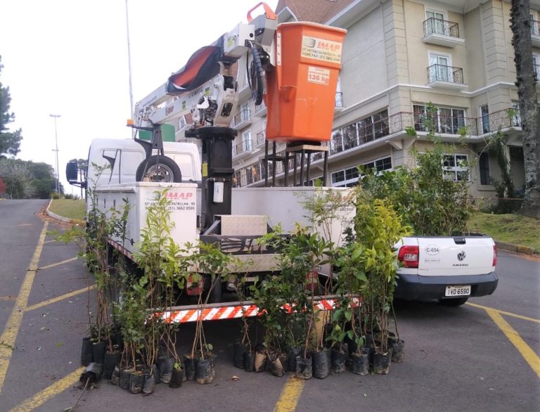 Campanha Gramado + Verde será nesta quarta-feira no bairro Carniel
