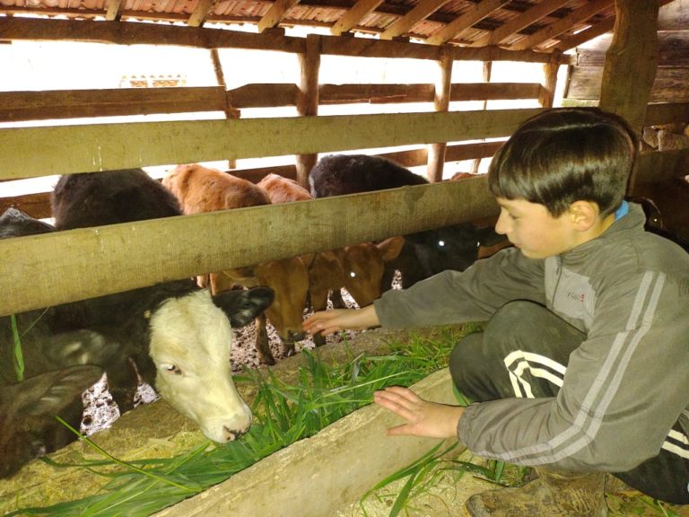 “Sempre mantive minha raiz aqui”, diz produtora rural