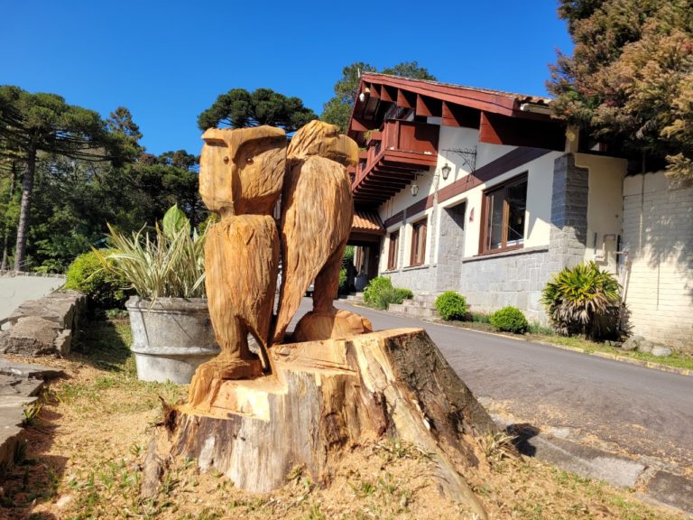 Escultor cria obra em tronco de árvore no Lago Joaquina Rita Bier