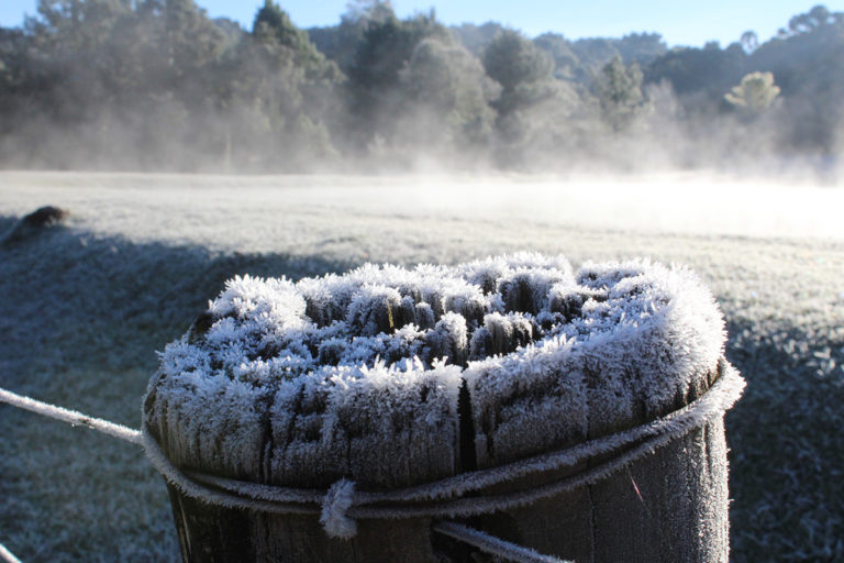 Semana com previsão de frio histórico
