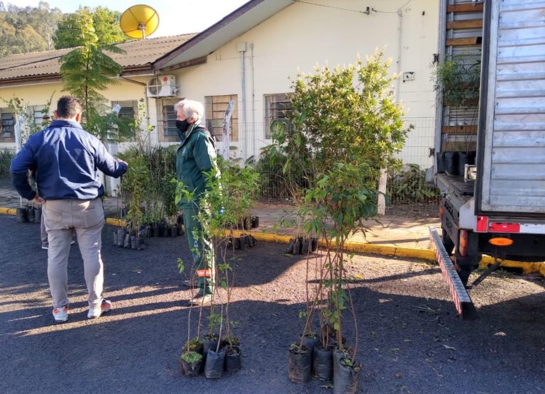 Gramado + Verde chega a marca de 8 toneladas de lixo eletrônico recolhidos
