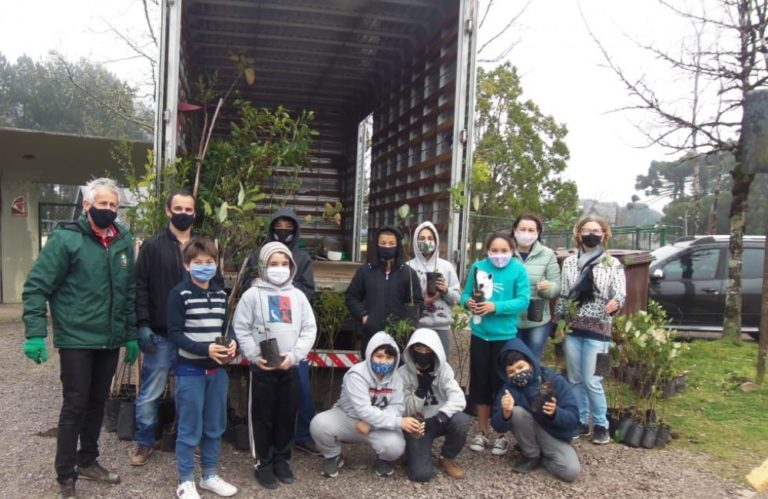 Gramado + Verde arrecada 320 quilos de lixo eletrônico no bairro Moura