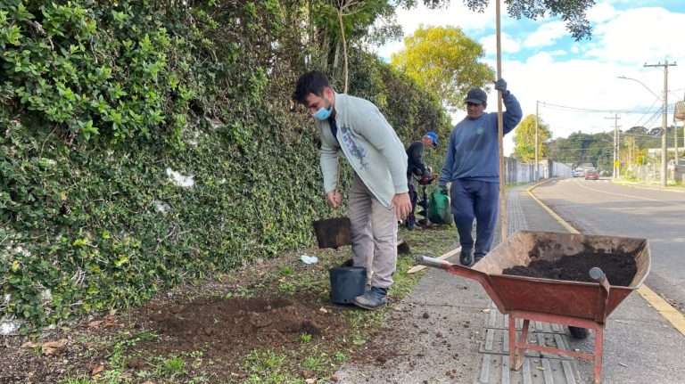 RGE realiza programa Arborização + Segura em Canela com o plantio de 100 árvores