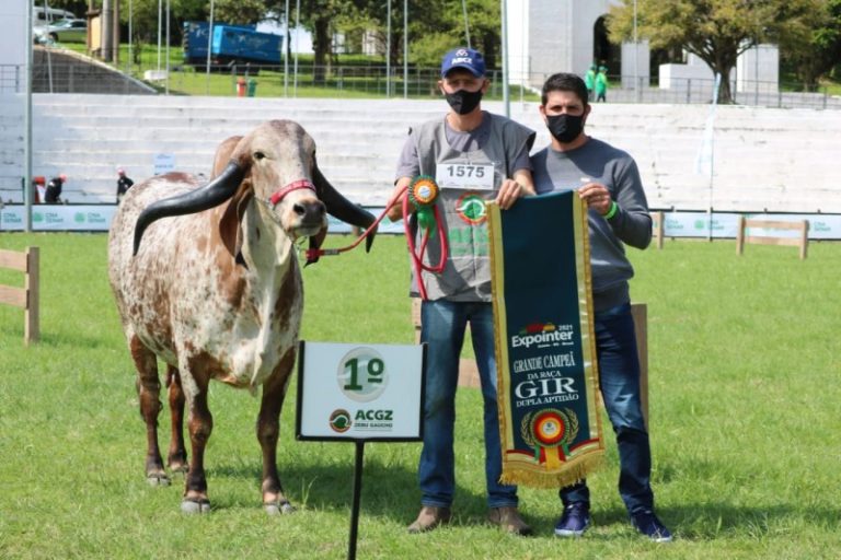 Da Linha Marcondes para a galeria de campeões da Expointer