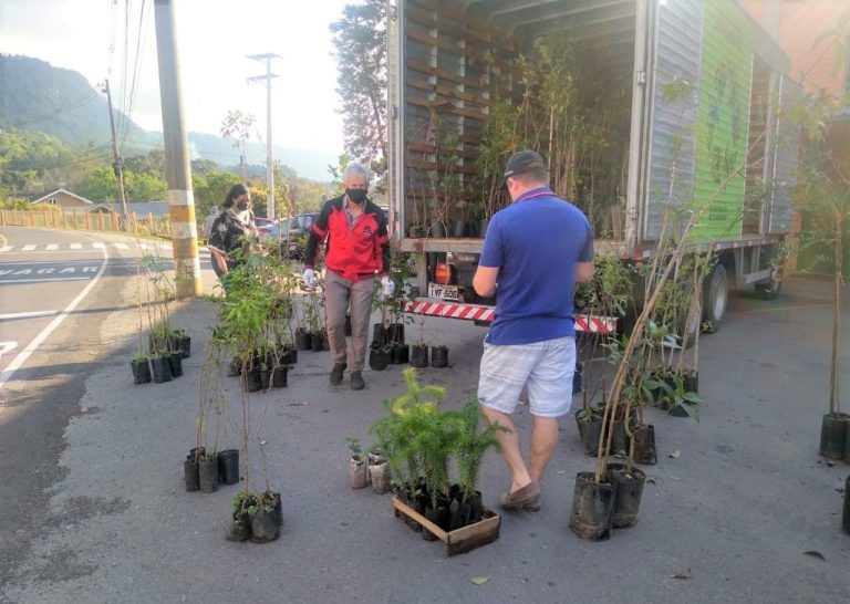 Bairro Floresta será palco da Campanha Gramado + Verde