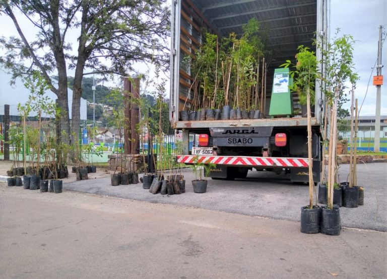 Campanha Gramado + Verde é prorrogada até dezembro