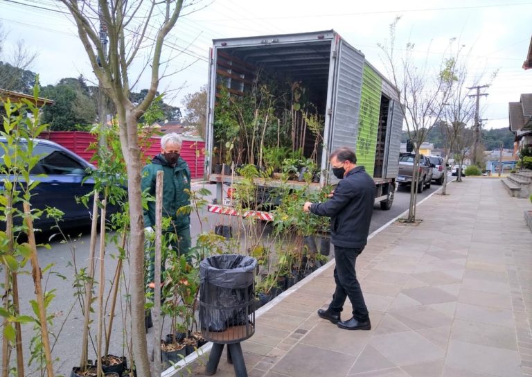 Gramado + Verde estará na Avenida Central na próxima sexta-feira