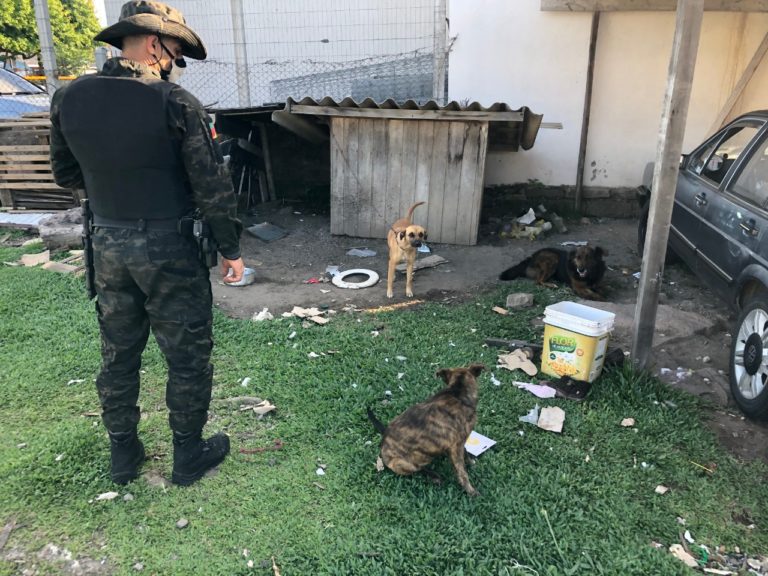 Patram atende denúncia de maus tratos e responsabiliza proprietário dos animais