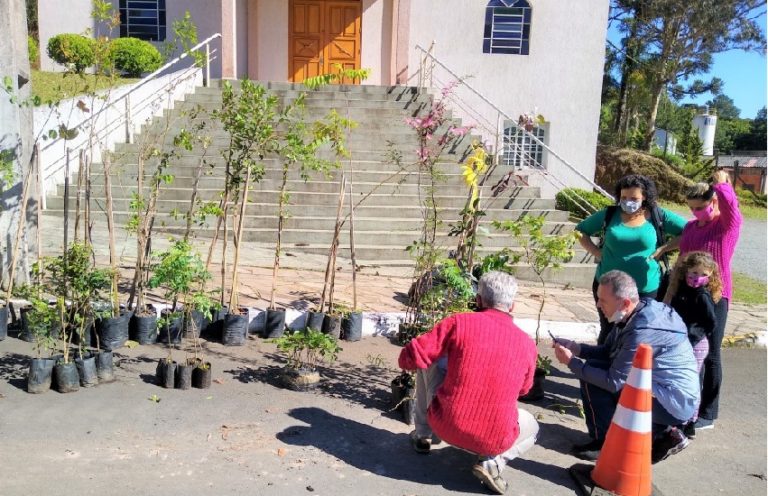Bairro Casagrande será palco da Campanha Gramado + Verde