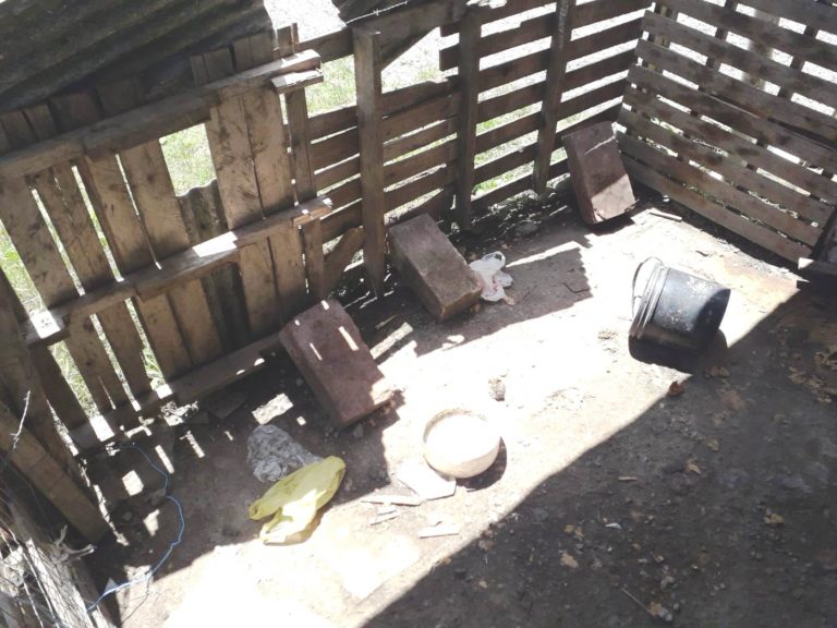 Homem é preso por maus tratos a cães no bairro Miná em Canela