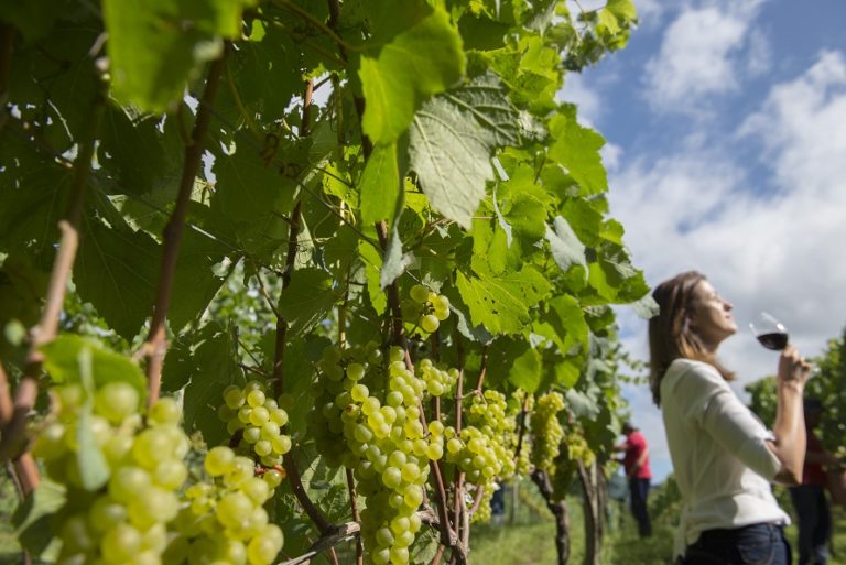 Vila do Vinho é atração da 1ª Vindima em Gramado