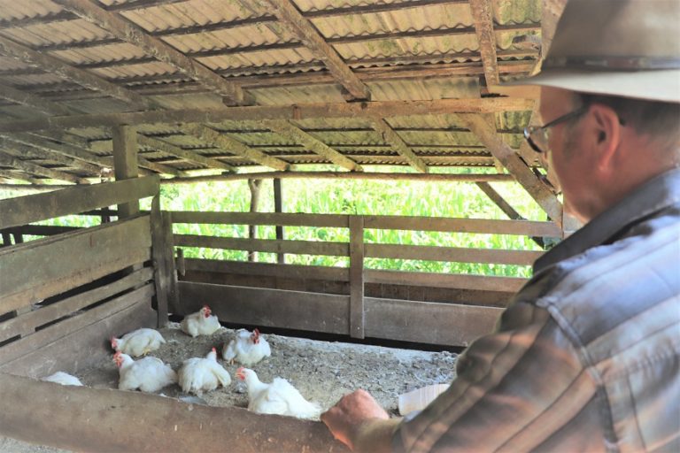 Racionamento de água e elevação de custos preocupa agricultores de Canela
