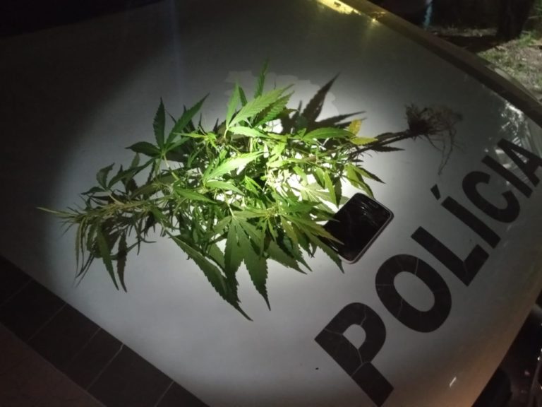 Brigada Militar prende foragido em Canela