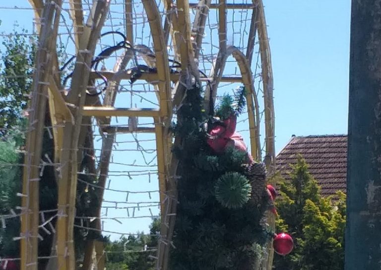 Peça de decoração do Natal Luz será mantida para preservar ninho de passarinhos