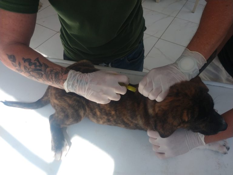 Cempra será inaugurado oficialmente nesta sexta