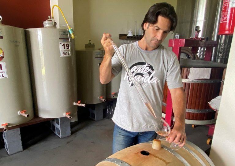 Arte Líquida une Brasil e Argentina na 1ª Vindima em Gramado