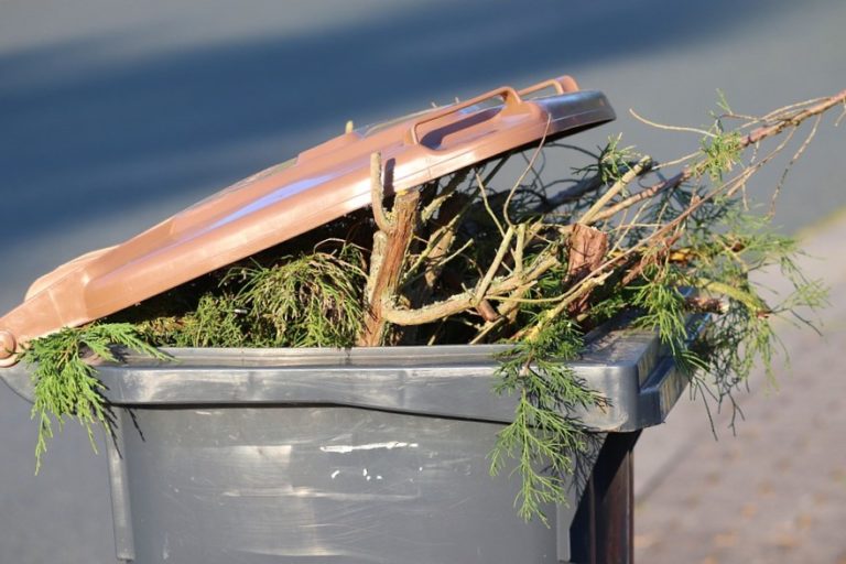 Mudanças na coleta de lixo verde na Várzea