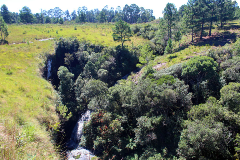São Francisco de Paula terá caminhada fotográfica da Rota Romântica