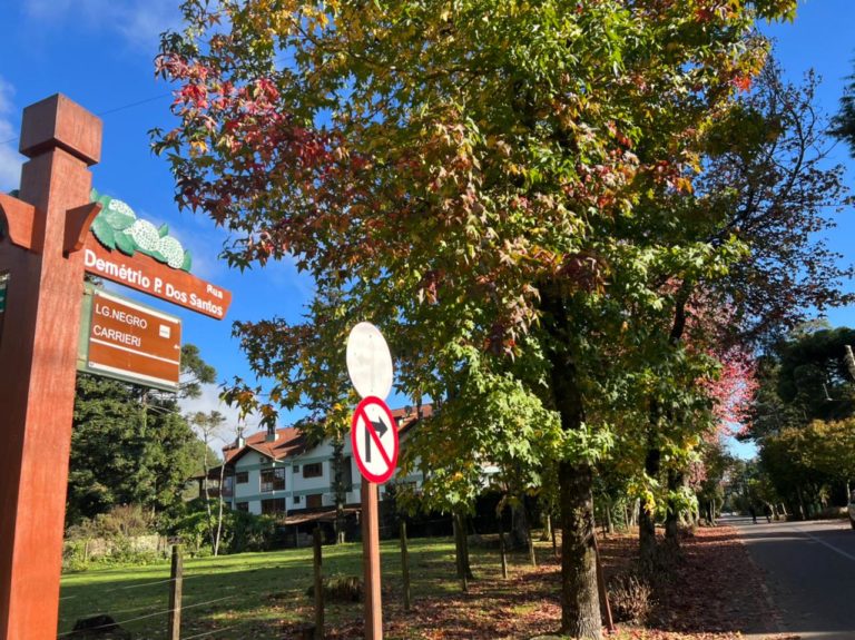 Festival Caminhos de Outono: Duas ruas terão trânsito interrompido no bairro Planalto