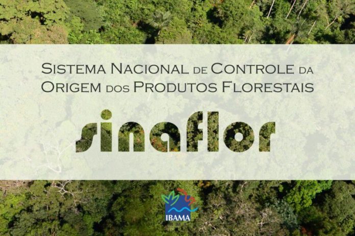 Secretaria de Meio Ambiente foi oficializada pelo Ibama e solicitação também precisa de cadastro no Sistema Nacional de Controle da Origem de Produtos Florestais (Sinaflor).
