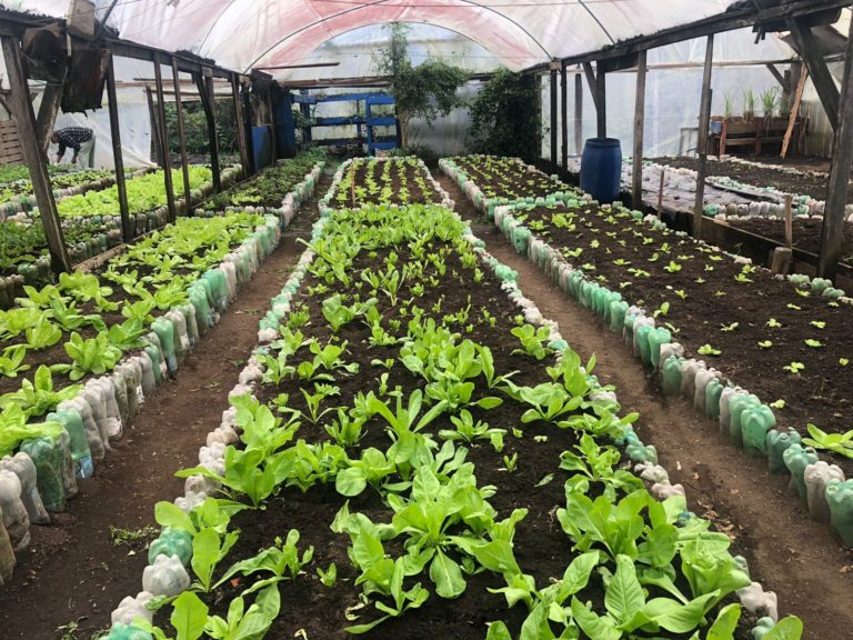 Saiba o que está acontecendo no Presídio