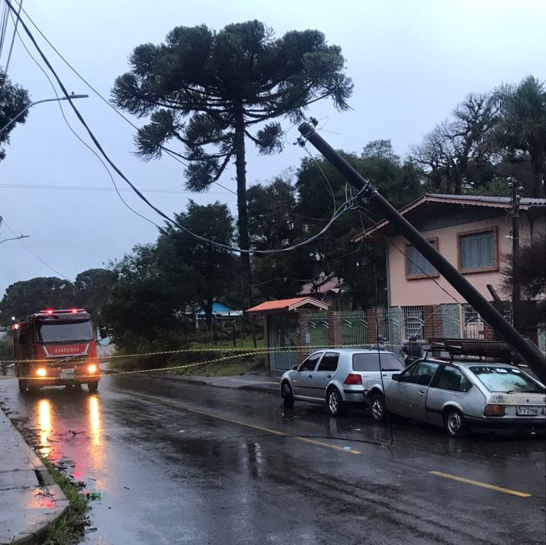Quedas de árvores e destelhamentos causam transtornos na região