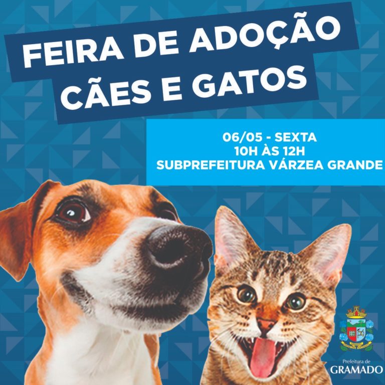 Várzea terá feira de adoção de cães e gatos nesta sexta