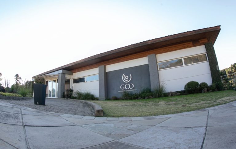 Cinco cuidados com os olhos e a visão