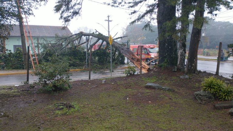 Os estragos da chuva na região e onde procurar auxílio