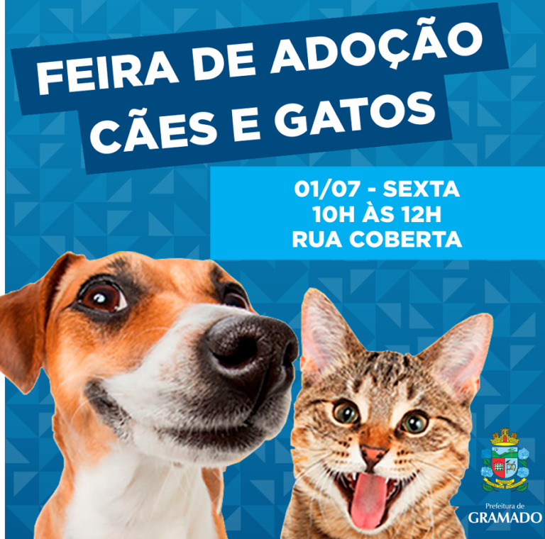 Em busca de um lar na Rua Coberta