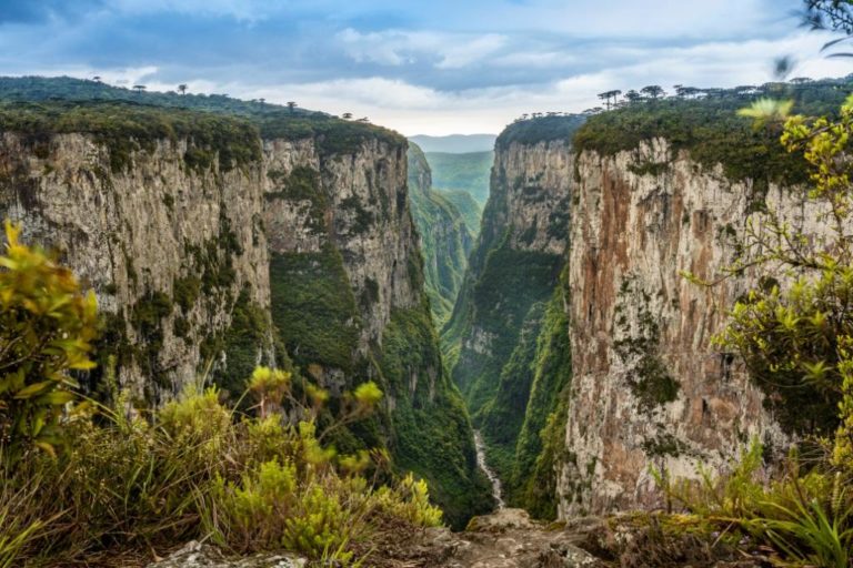 Confira os novos atrativos do Urbia Cânions Verdes