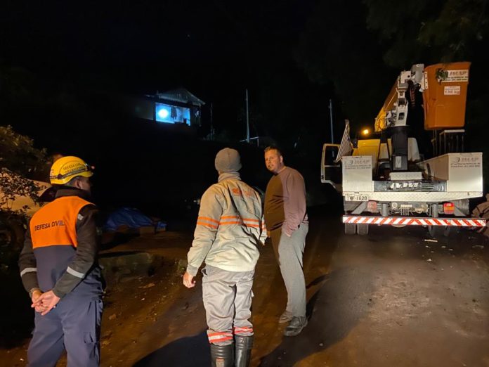 Prefeitura ajuda na remoção de árvore com risco de queda na Várzea Grande