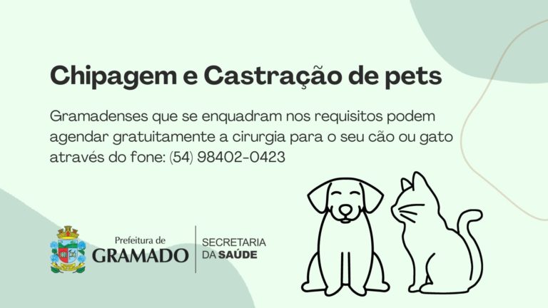 Mais de 800 animais foram castrados e chipados