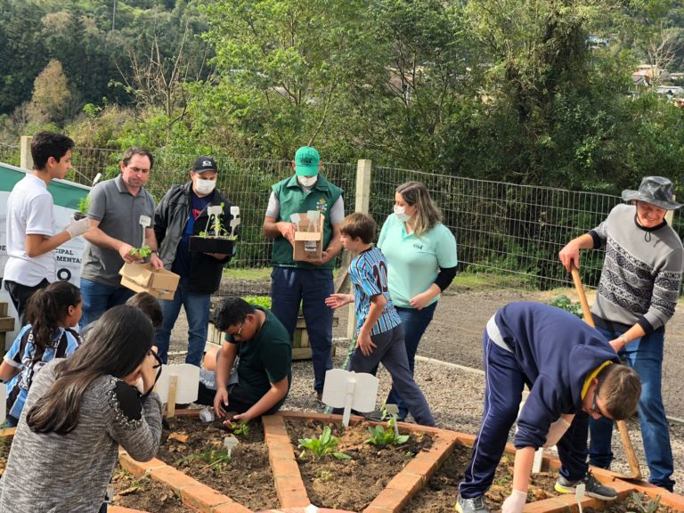Farmácia Viva ajuda alunos na criação de horta