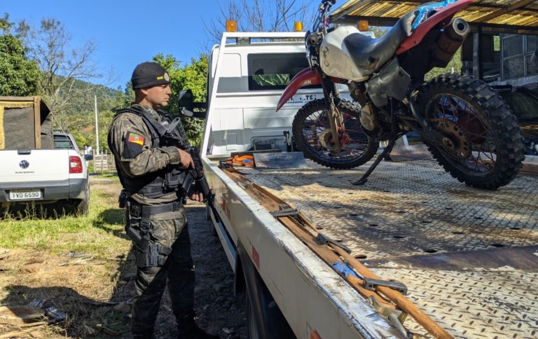 Animal e moto são recolhidos em operação
