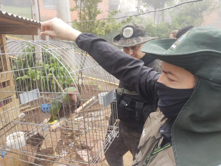 Patram e Prefeitura realizam operação conjunta