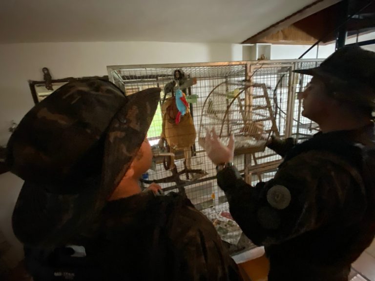 Polícia Civil e Patram realizam ação contra maus tratos a animais no interior