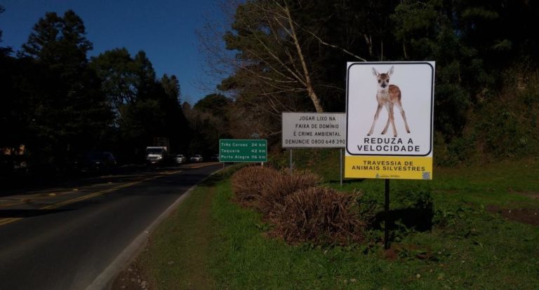 Instalação de placas de travessia de animais silvestres é iniciada