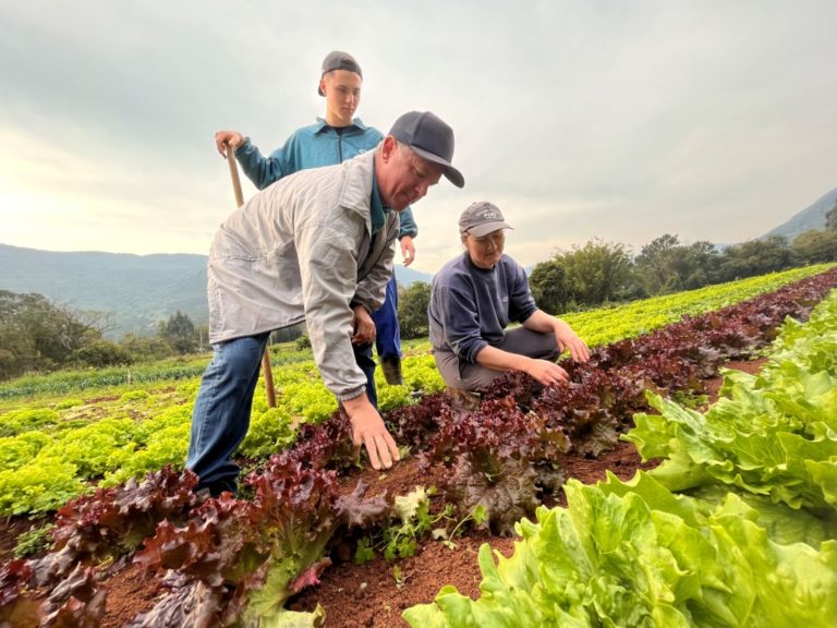 Superação, conduta e trabalho na colônia