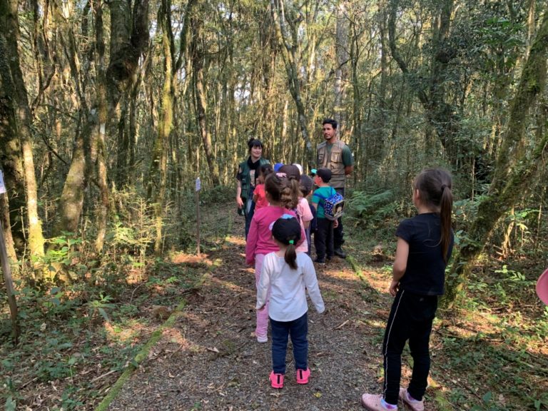 Alunos da Escola Henrique Bertoluci Sobrinho realizam atividades sobre meio ambiente no Parque dos Pinheiros