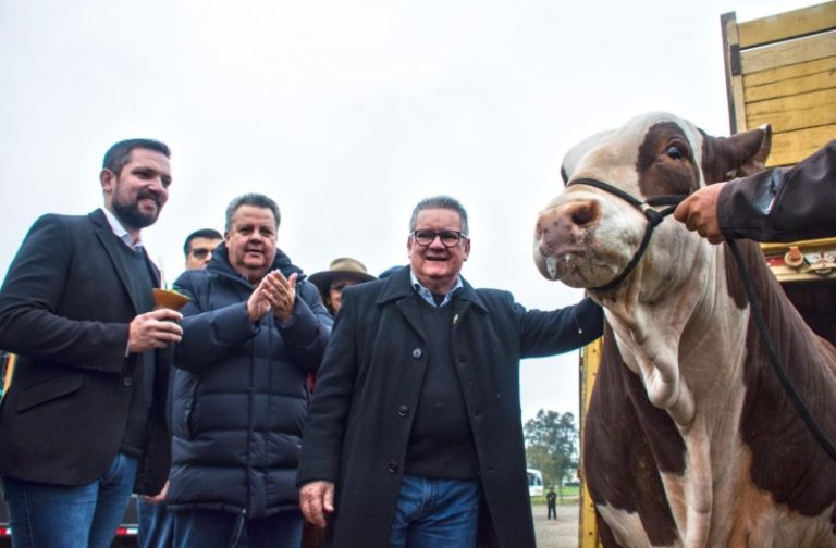 A chegada das estrelas na Expointer