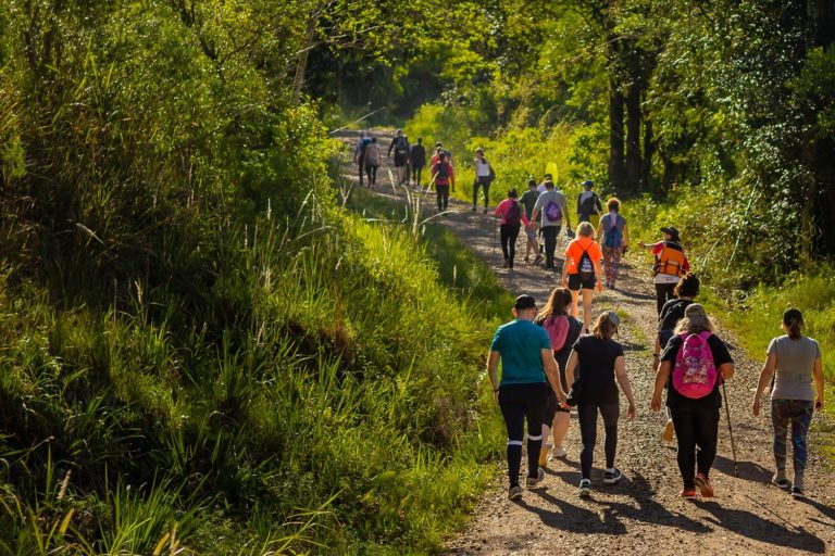 Festival da Primavera terá caminhada no próximo domingo