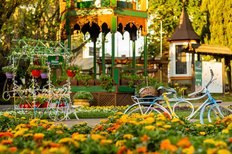 Definida a programação do Festival da Primavera de 2022