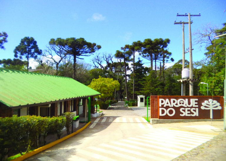 Os campeões serão as crianças e adolescentes