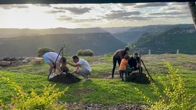 Parque Olivas de Gramado celebra o Dia Mundial da Oliveira