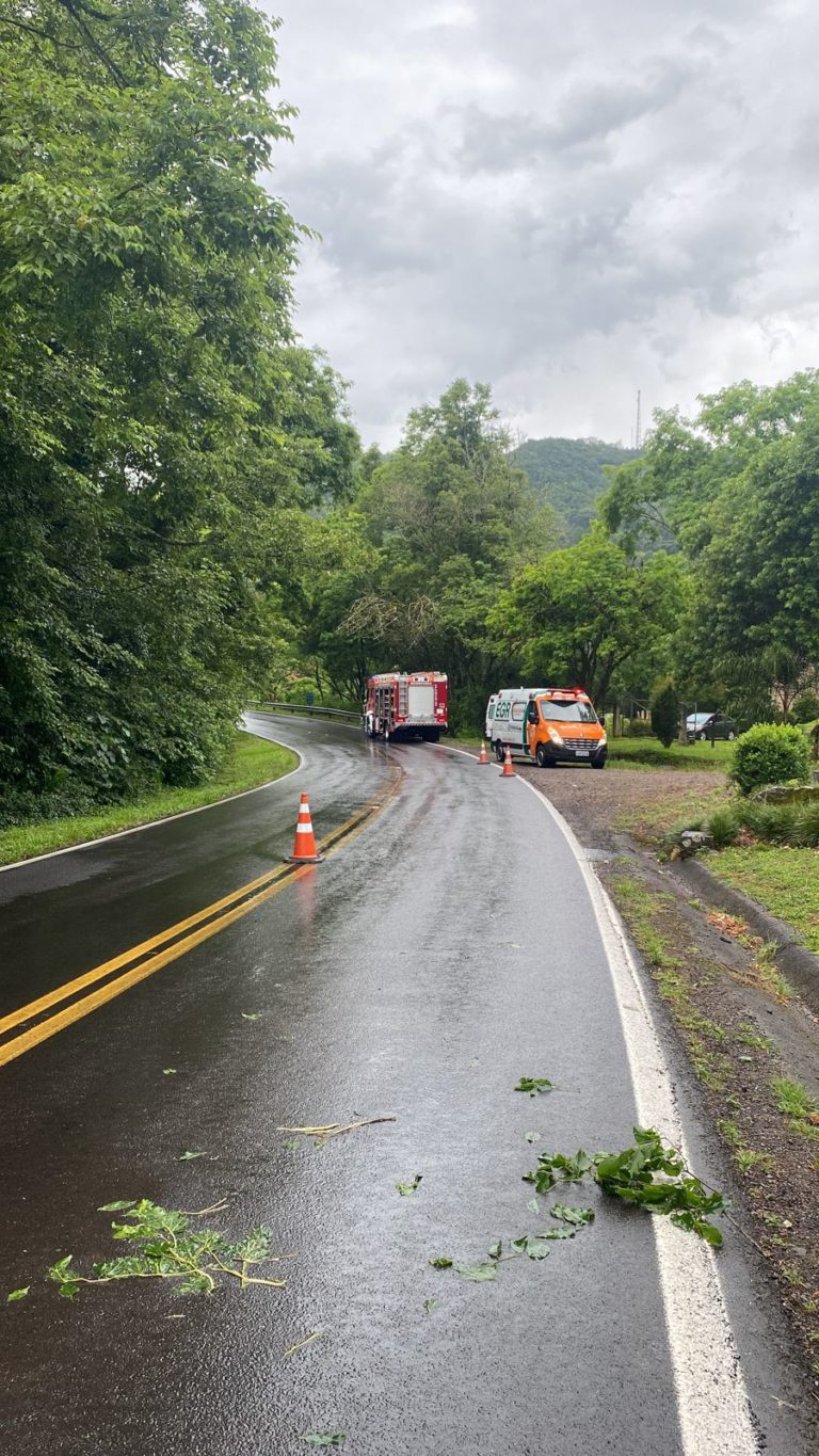 Motorista de carro com placa de Canela morre em acidente na ERS-235